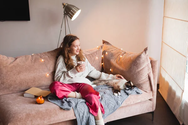 若い笑顔の女性と彼女の愛らしい猫のソファの上に座って 毛布で覆われて居心地の良い 愛するペットのコンセプトで自宅で怠惰な夜 コピースペース 内部背景 — ストック写真