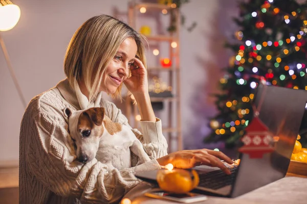 Mujer Adulta Suéter Punto Blanco Acogedor Con Perro Utilizando Ordenador —  Fotos de Stock