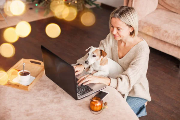Volwassen Vrouw Met Hond Gezellige Witte Gebreide Trui Met Laptop — Stockfoto