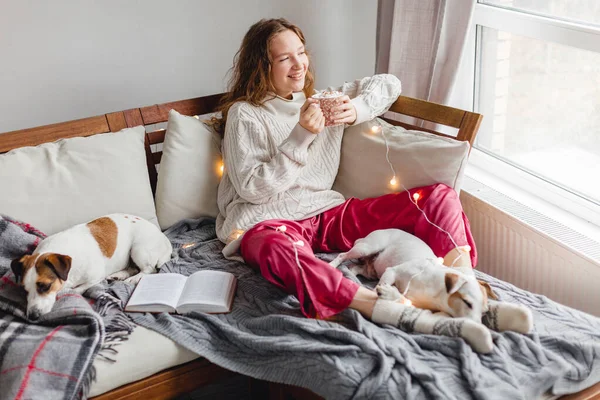 若い女性と彼女の愛らしい2匹の犬がソファに座って居心地の良い ソファの上に2匹のペットを持つ幸せなティーンの女の子 涼しい冬または秋の家 — ストック写真