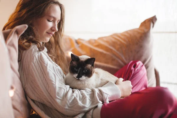 Cute Cat Sitting Owners Hands One Winter Christmas Day Girl — ストック写真