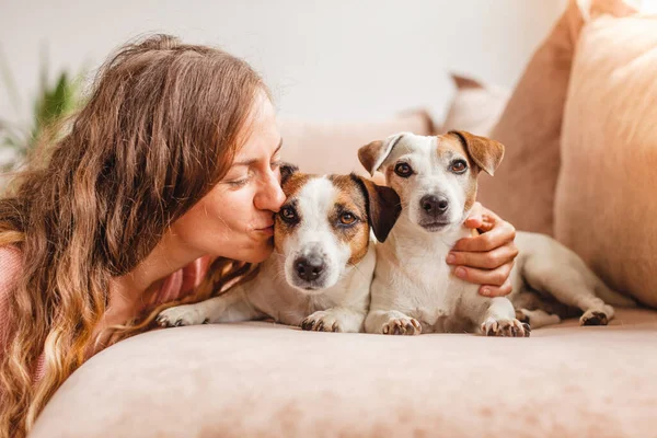 犬と一緒に幸せな女の子はソファの上の自宅で休んでいます 笑顔女性とともにペットオンソファ — ストック写真