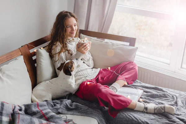 若い女性と彼女の愛らしいジャック ラッセル テリア ドッグがソファに座っていると 毛布で覆われ 居心地の良い 愛するペットのコンセプトで自宅で怠惰な午後 コピースペース 内部背景 — ストック写真