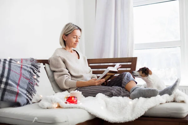 Middle Aged Woman Sitting Couch Cozy Home Dog Adult Woman — Stock Photo, Image