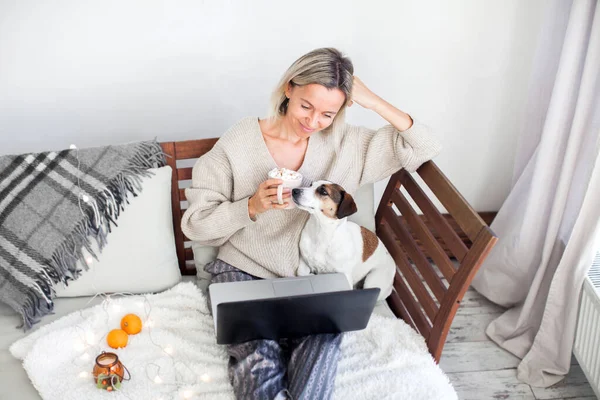 Glückliche Erwachsene Dame Streaming Von Online Inhalten Auf Laptop Sitzt — Stockfoto