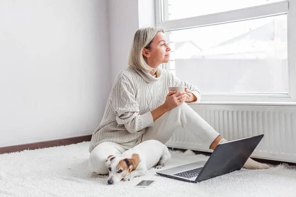 Счастливая Женщина Средних Лет Собакой Использует Свой Ноутбук Уютном Белом — стоковое фото