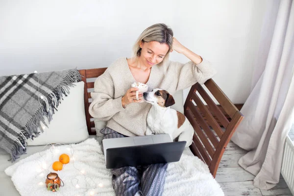 Happy Adult Lady Streaming Online Content Laptop Sitting Sofa Cozy Stock Photo