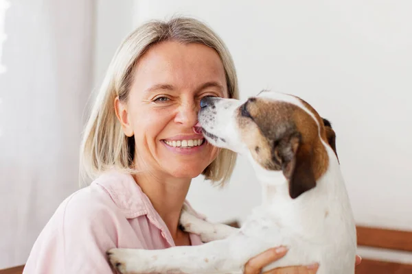 Szczęśliwa Kobieta Bawi Się Domu Swoim Psem Terrier Jackiem Russellem — Zdjęcie stockowe