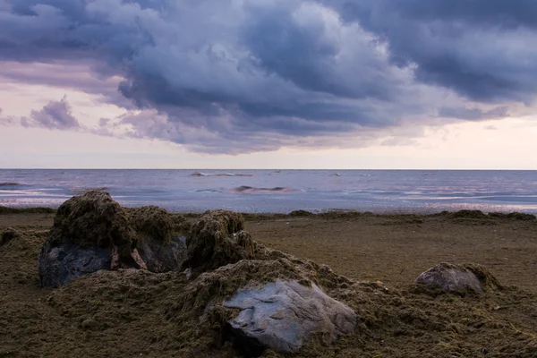 Baltık Denizi üzerinde gün batımı görünümü — Stok fotoğraf