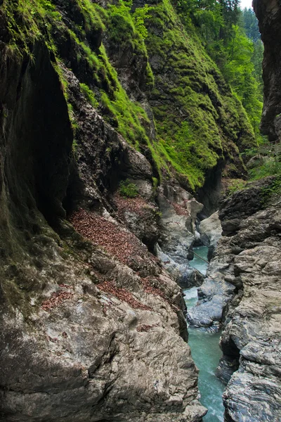 Canyon con fiume verde — Foto Stock