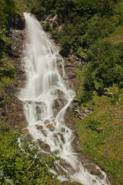 Yeşil Doğadaki Şelale