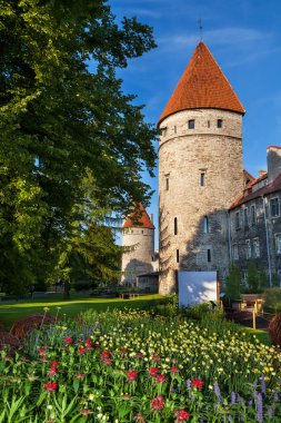 Tallinn kuleleri. Estonya
