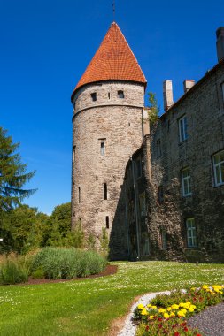 Ortaçağ kulesi. Tallinn, Estonya