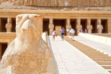 Horus. Temple of başına. Luksor, Mısır