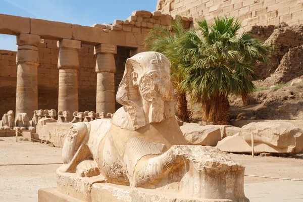 Sfinge. Tempio di Karnak, Luxor, Egitto — Foto Stock