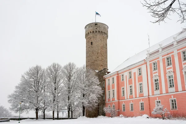 Toompea. tallinn, estland — Stockfoto