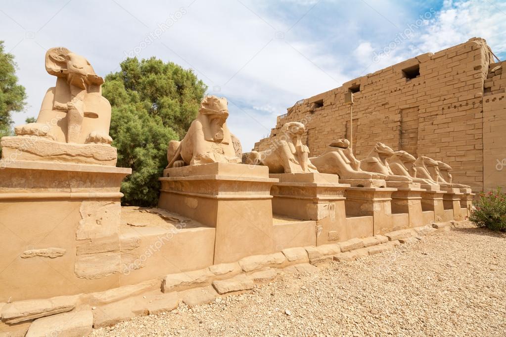 Sphinxes avenue. Luxor, Egypt