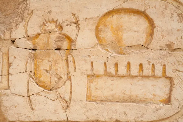 Chrząszcza skarabeusza. Egipt — Zdjęcie stockowe