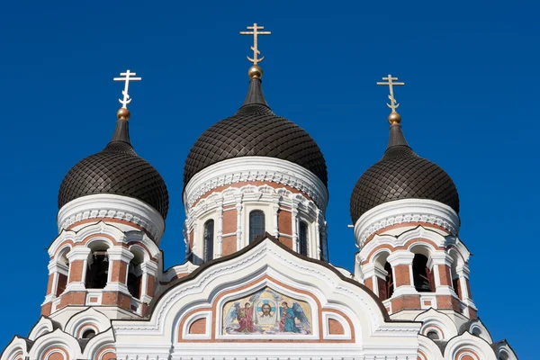 Catedral Alexander Nevsky. Tallin, Estonia — Foto de Stock