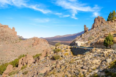 Teide Milli Parkı. Tenerife. Kanarya Adaları
