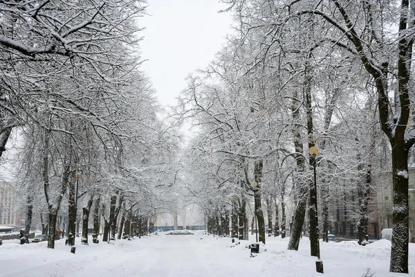 Kaarli бульвар. Таллінн, Естонія — стокове фото