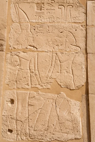 Tallado en relieve. Templo de Karnak, Luxor, Egipto —  Fotos de Stock