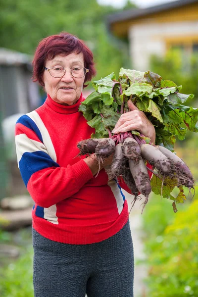 Woman with beetroots — Stock Photo, Image