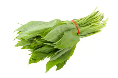 Ramsons (wild garlic) leaves clipart