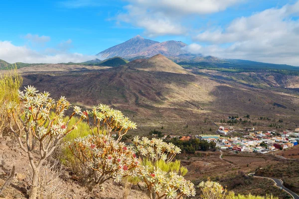 Paisagem de Tenerife. Espanha — Fotografia de Stock
