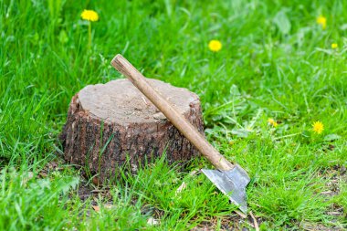 Çimenlerdeki yaşlı balta ve ağaç kütüğü