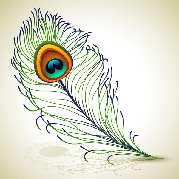Plume de paon — Image vectorielle