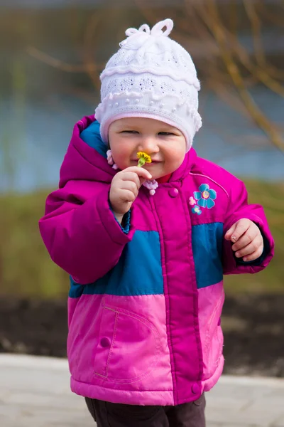 Little girl smelling flower — Stock Photo, Image