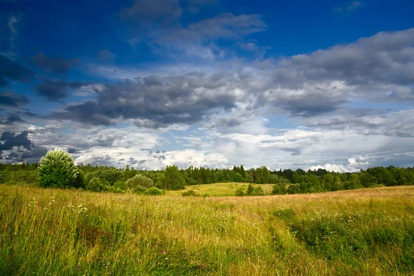Dramatik gökyüzü manzara altında yeşil çayır — Stok fotoğraf