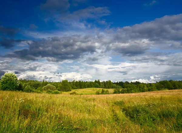 Зелений луг під драматичним небом пейзаж — стокове фото