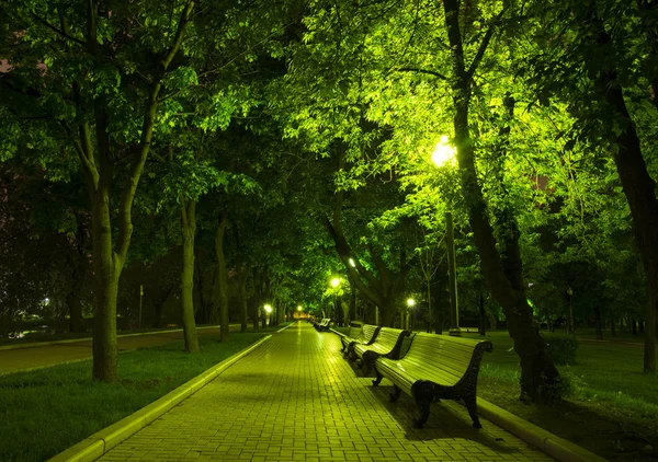 Gece park — Stok fotoğraf