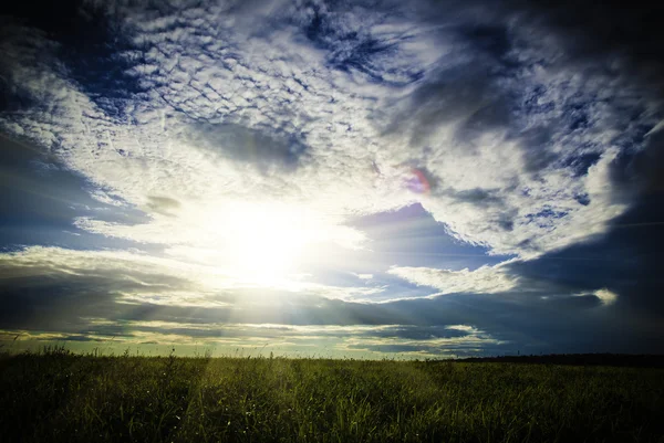 Field and sunset sky — Stock Photo, Image