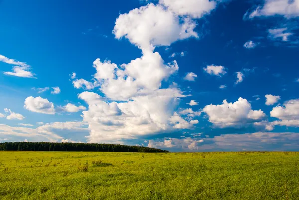 Grass field and dramatic sky at sunset — Stock Photo, Image