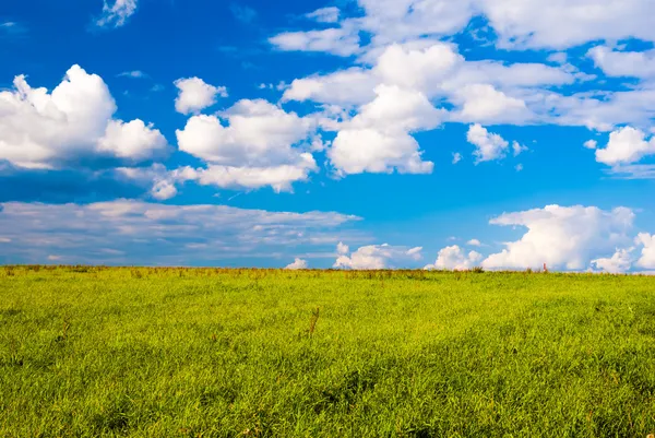 Campo de hierba y cielo dramático al atardecer — Foto de Stock
