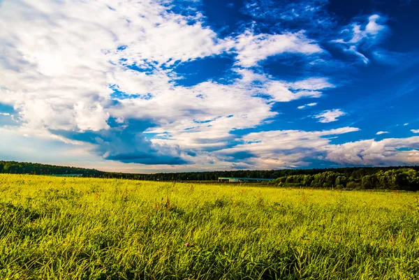 Rasenfeld und dramatischer Himmel bei Sonnenuntergang — Stockfoto