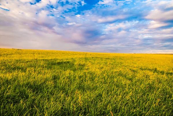 Campo de relva e céu dramático ao pôr do sol — Fotografia de Stock