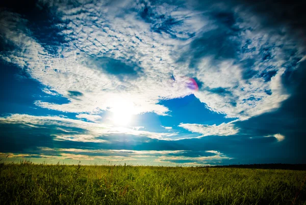 Fältet och solnedgång himlen — Stockfoto