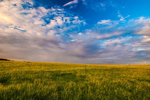 Grasveld en dramatische hemel bij zonsondergang — Stockfoto