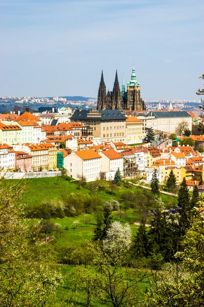 Prag panorama med st. vitus-katedralen — Stockfoto