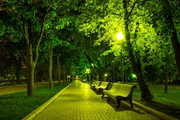 Parque nocturno — Foto de Stock