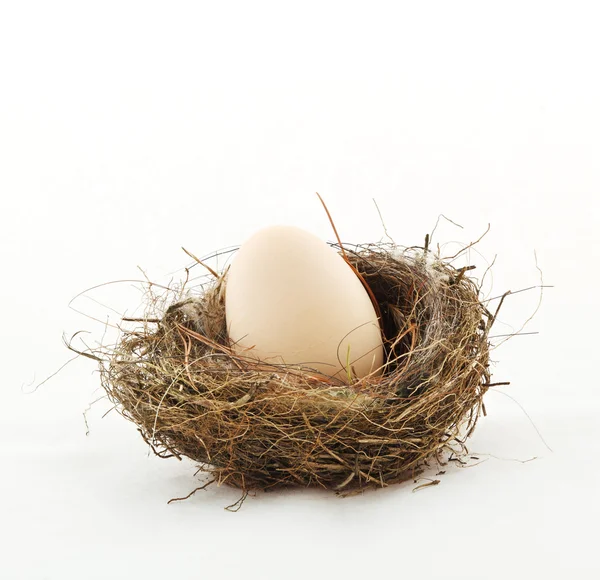 Маленькое гнездо с большими яйцами — стоковое фото