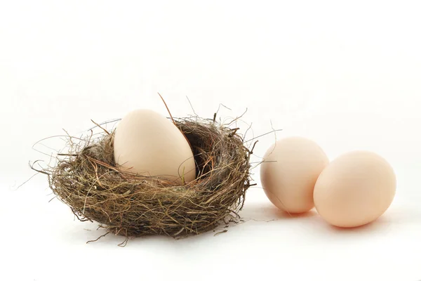 Ein Ei im Nest und zwei Eier draußen — Stockfoto