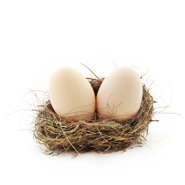 Zwei Eier im Nest — Stockfoto