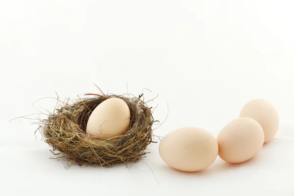 Ein Ei im Nest und andere Eier draußen — Stockfoto