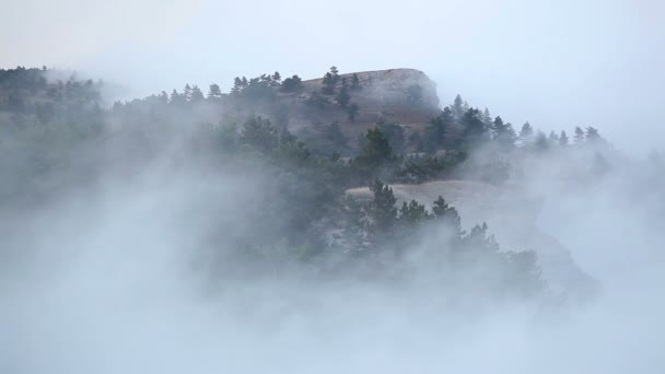 À l'intérieur nuages mouvants Dans les montagnes, salon vidéo 