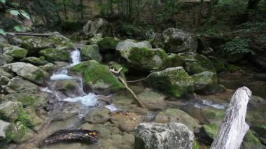 vahşi doğada, küçük bir dağ nehir taşları arasında su akar